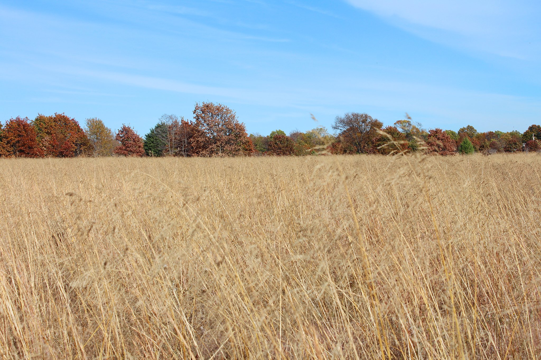 Tract 10 - OKLAHOMA LAND & REAL ESTATE AUCTION, 438 +/- Acres offered in 13 Tracts